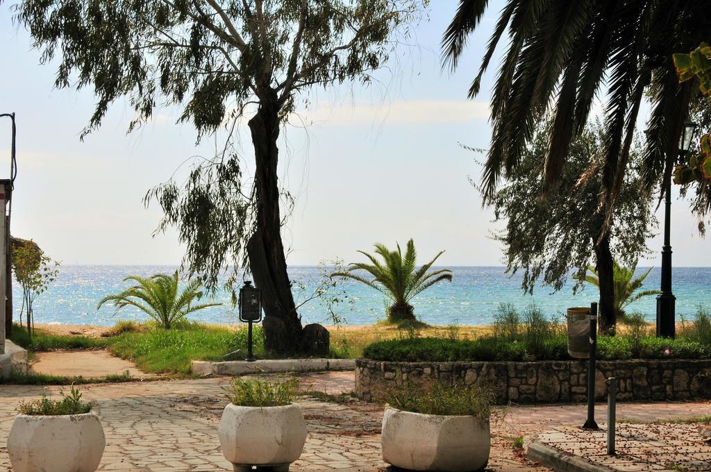 Seaside Studios Паралия-Дионисиу Экстерьер фото